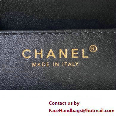 Chanel Lambskin  &  Gold-Tone Metal Shopping Bag AS4596 Black 2024